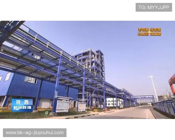 围绕洋县足球场草皮建设与养护升级推动体育设施高质量发展的研究